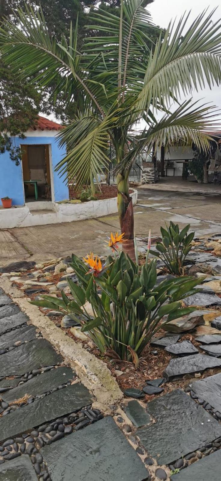 Vila Casa La Caldera Firgas Pokoj fotografie